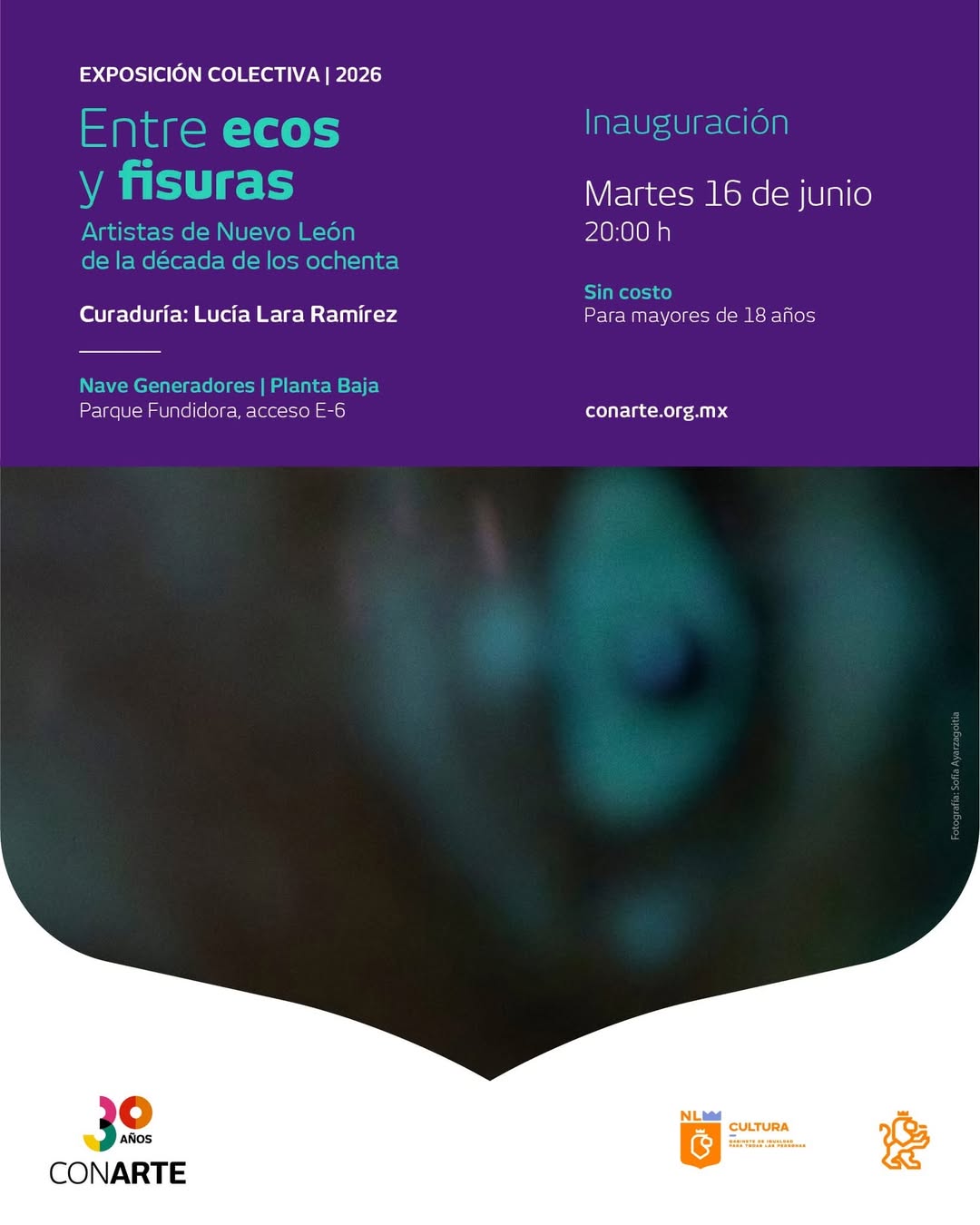 Entre Ecos y Fisuras