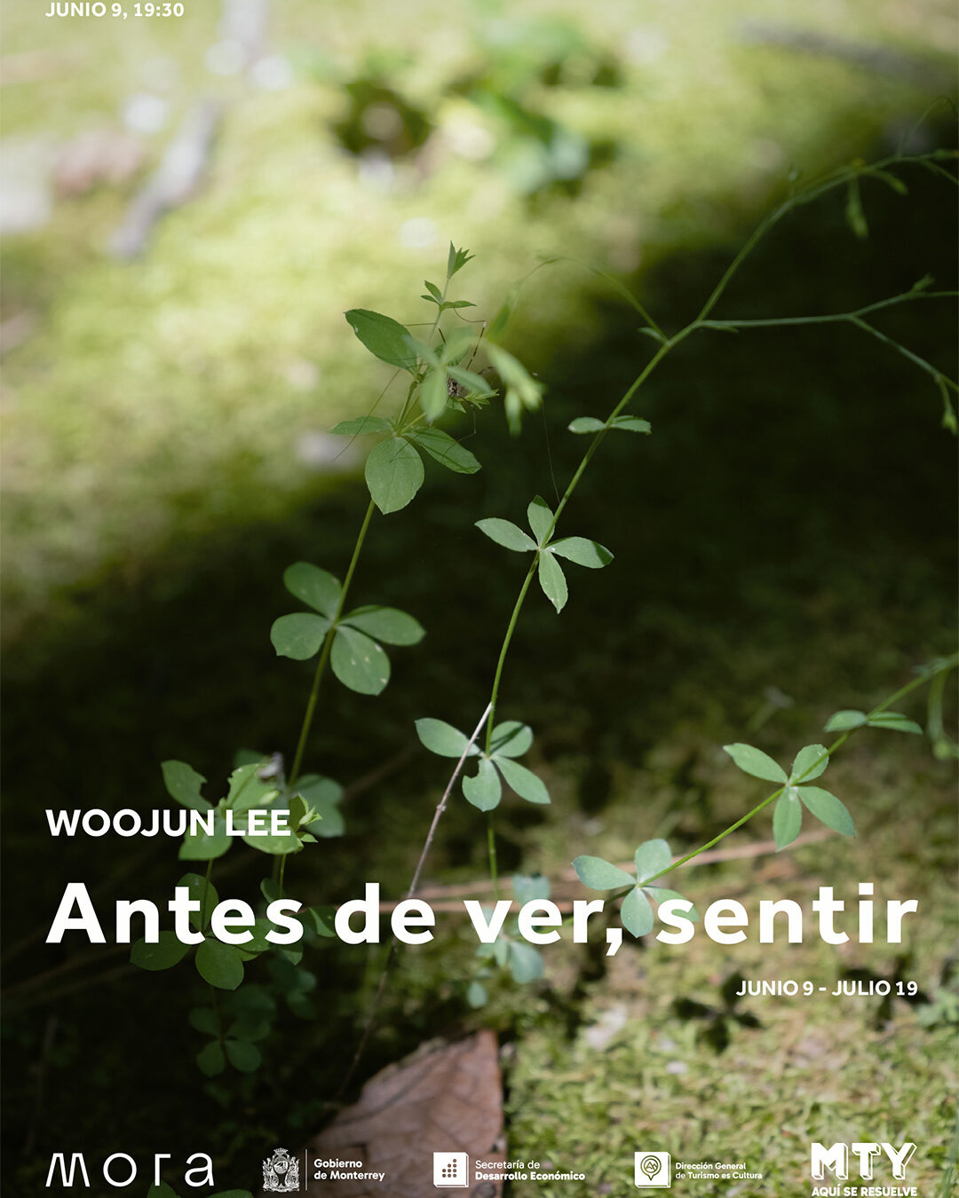 Antes de ver, sentir