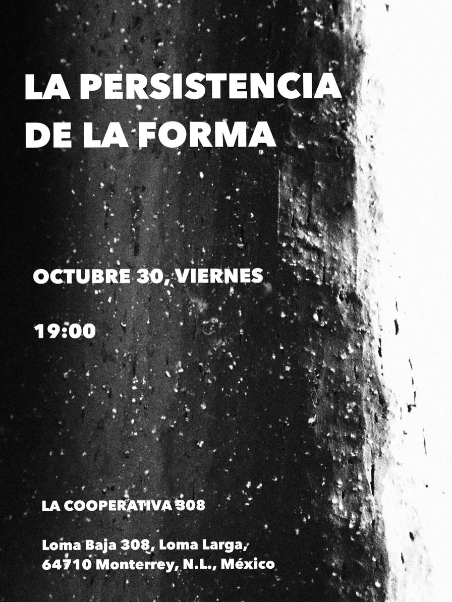 La persistencia de la forma
